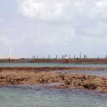 The reef at low tide